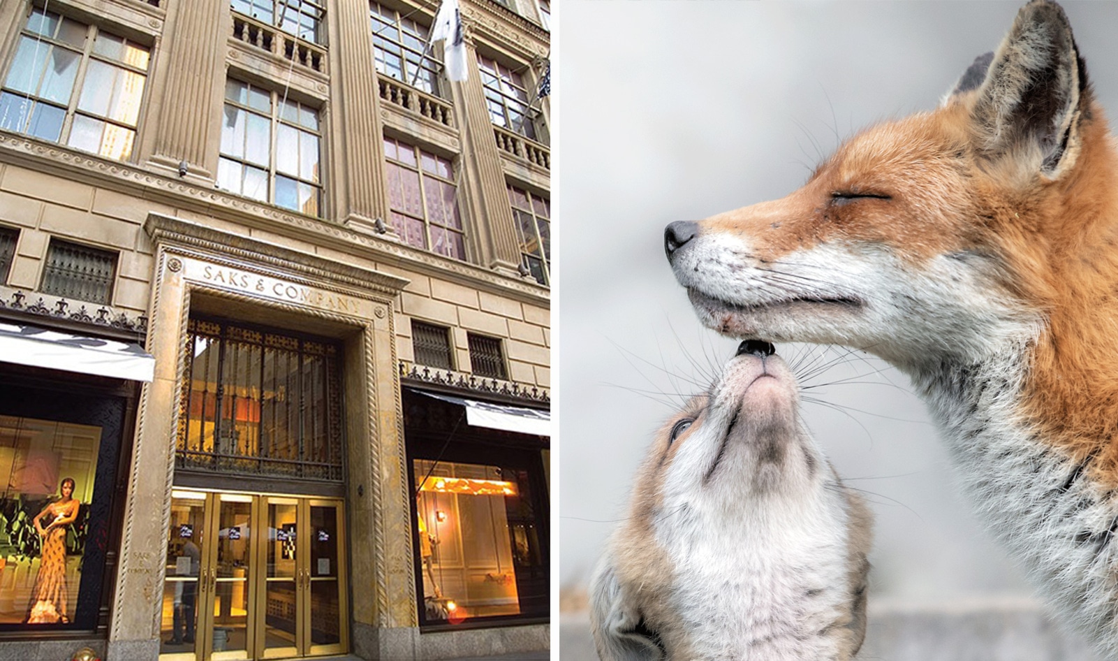 Saks Fifth Avenue Just Banned Fur
