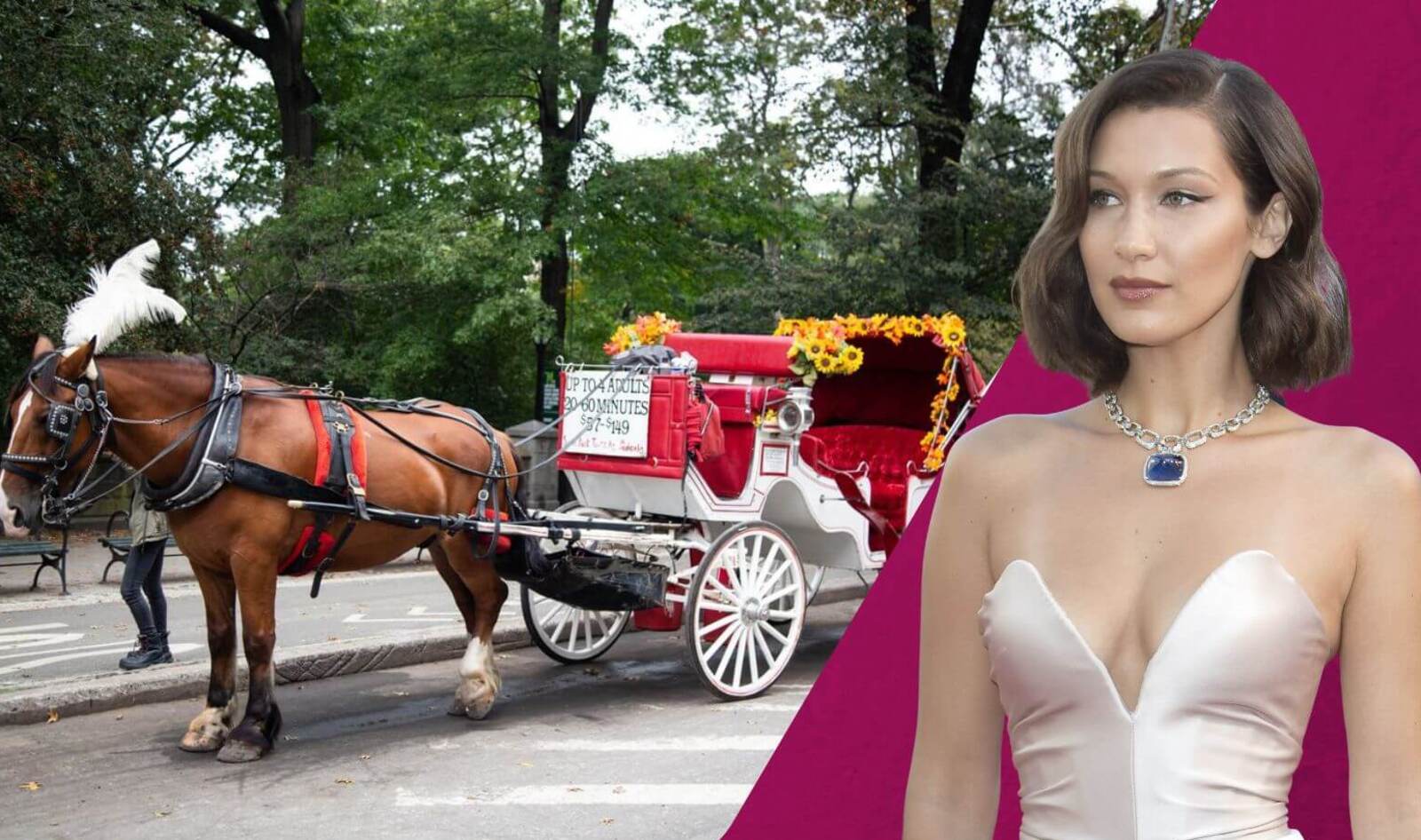 Bella Hadid Joins Fight to End New York City’s Outdated Horse Carriages