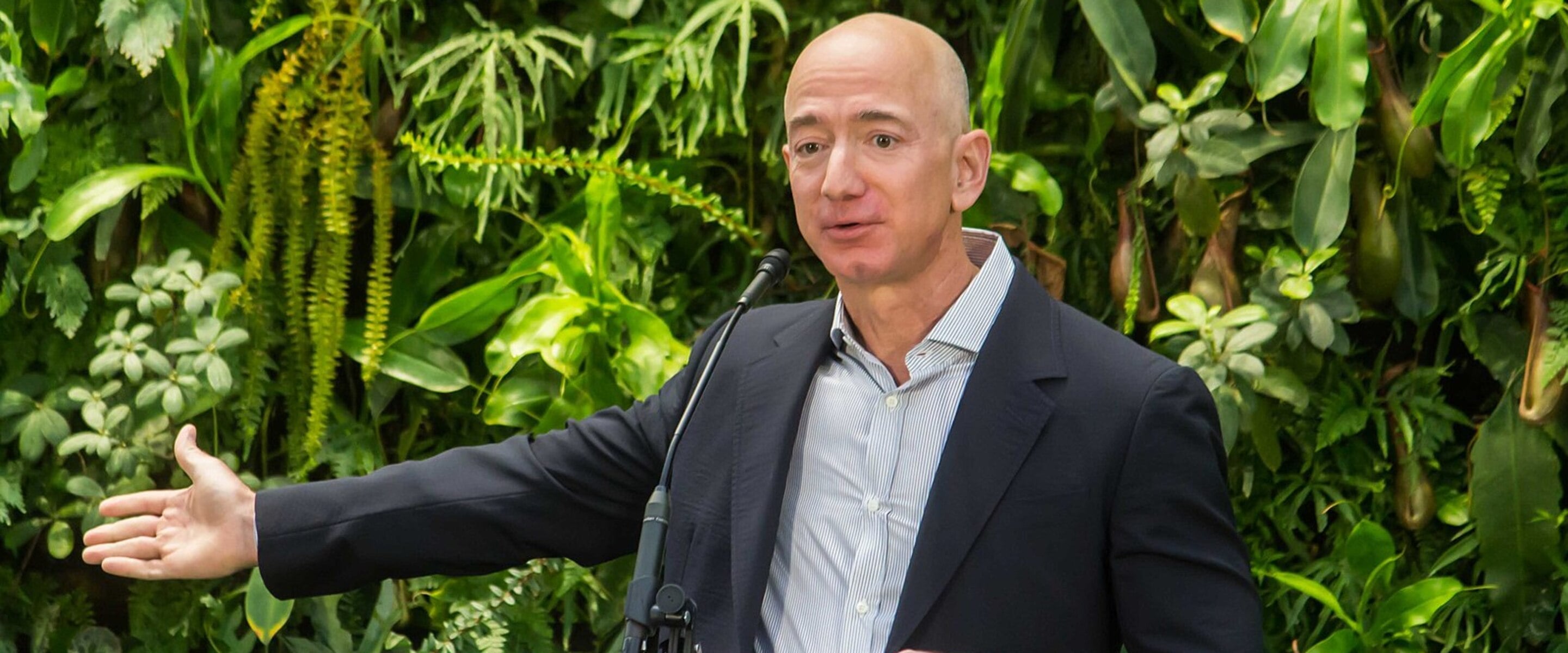 "Our World Is Poised for Transformation": Jeff Bezos Pledges $60 Million to Build a Plant-Forward Food System