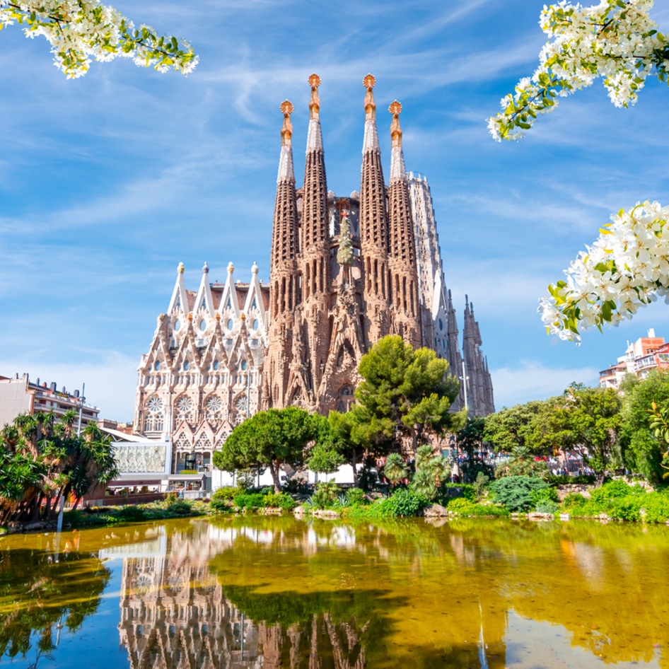 Exploring Barcelona's Best Restaurants: From Plant-Based Doughnuts to Fish-Free Sushi