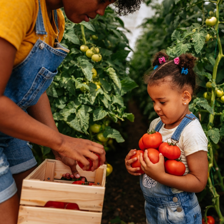 Why Less Meat and More Plants Could Help Solve Food Insecurity