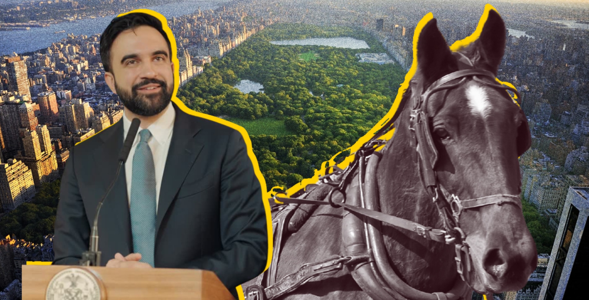 Mamdani Reaches Groundbreaking Deal to End NYC’s Horse-Drawn Carriages