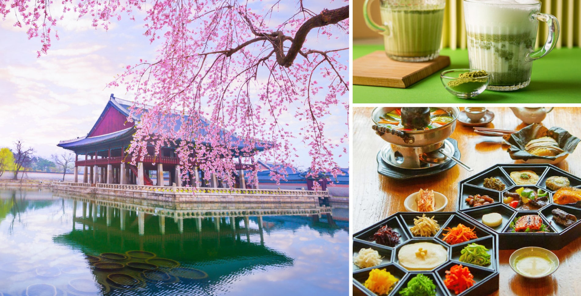 7 Unforgettable Days in South Korea: The Ultimate Vegan Travel Guide